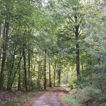 Rucksack-bimbes 公寓 *