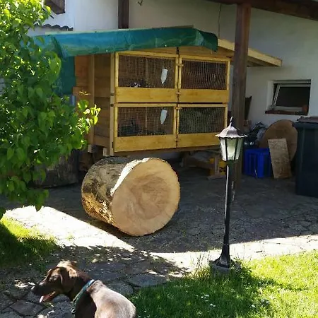 Rucksack-bimbes 公寓